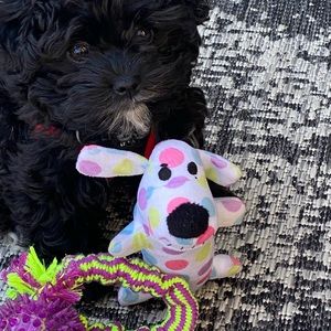 Meet your Posher, Gail